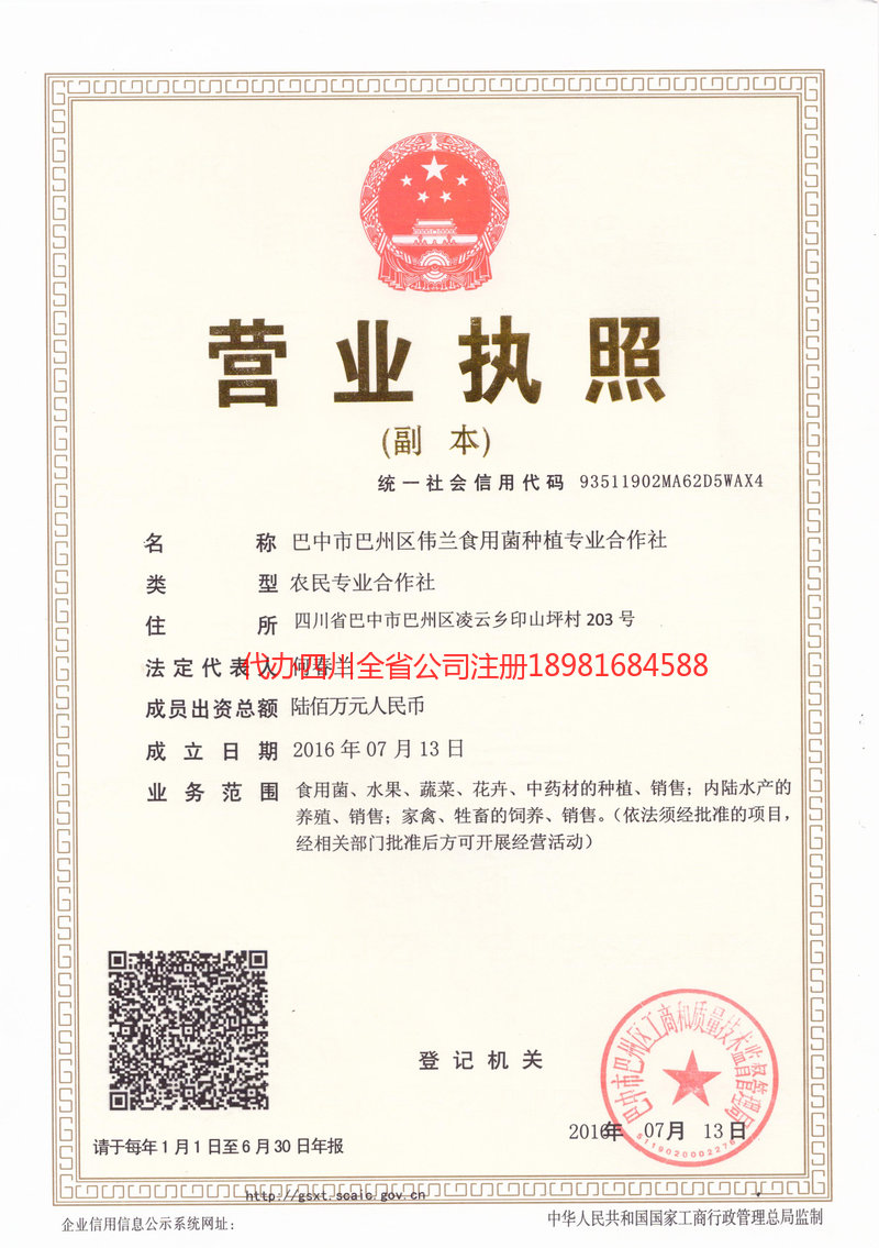 阳江阳江伟兰食用菌种植专业合作社